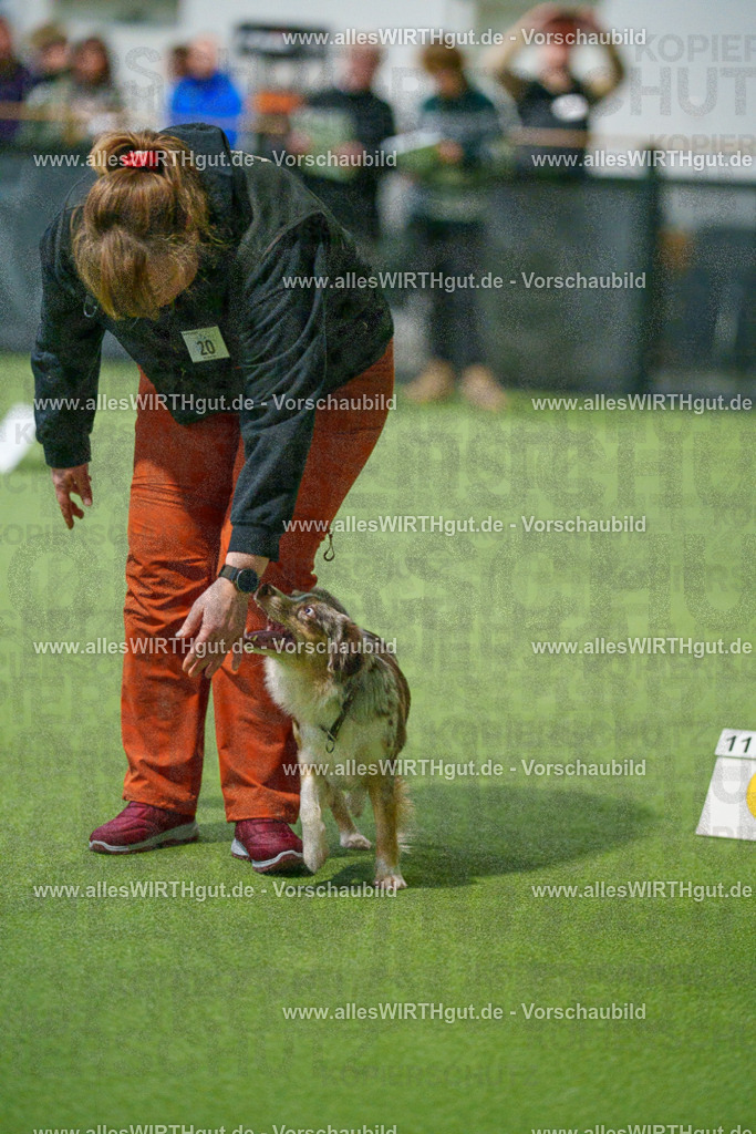 7R504618 | Professionelle Tierfotografie in Mönchengladbach von Daniel Wirth (allesWIRTHgut). Liebevolle & natürliche Bilder von Hunden & Katzen für unvergessliche Erinnerungen.