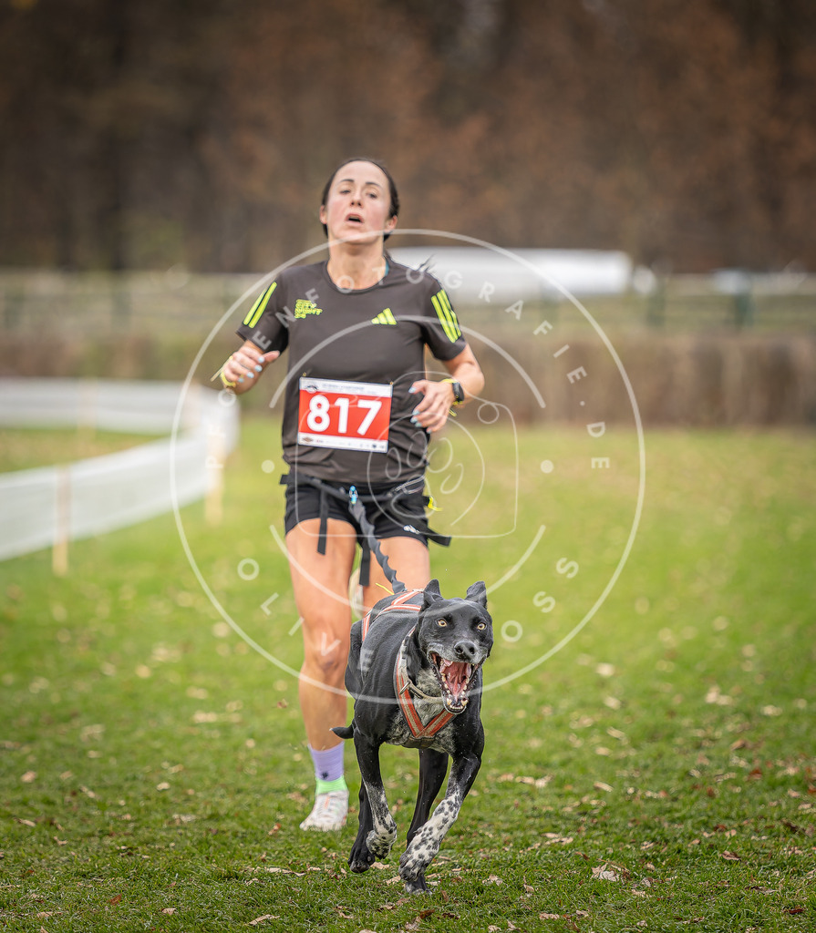 CaniXpix_DV3A6365 | Hundefotografie, Tierfotograf, Pfotenfotografie, Fotoshooting Hund, Hunde Portrait, Hundesport, Hundeportraits, Heideshooting, Hunde, Sportfotograf, Hundefotograf, Turnierhundsport, THS,  - Realisiert mit Pictrs.com
