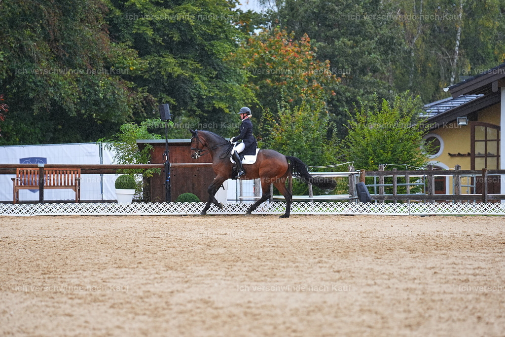 8_1-020-Klasse S_  -Marixx-4373 | working equitationturnier fotograf videograf stoibphotography marixx film working equitation deutschland reitsport turnierfotografie eventfotografie equestrian events