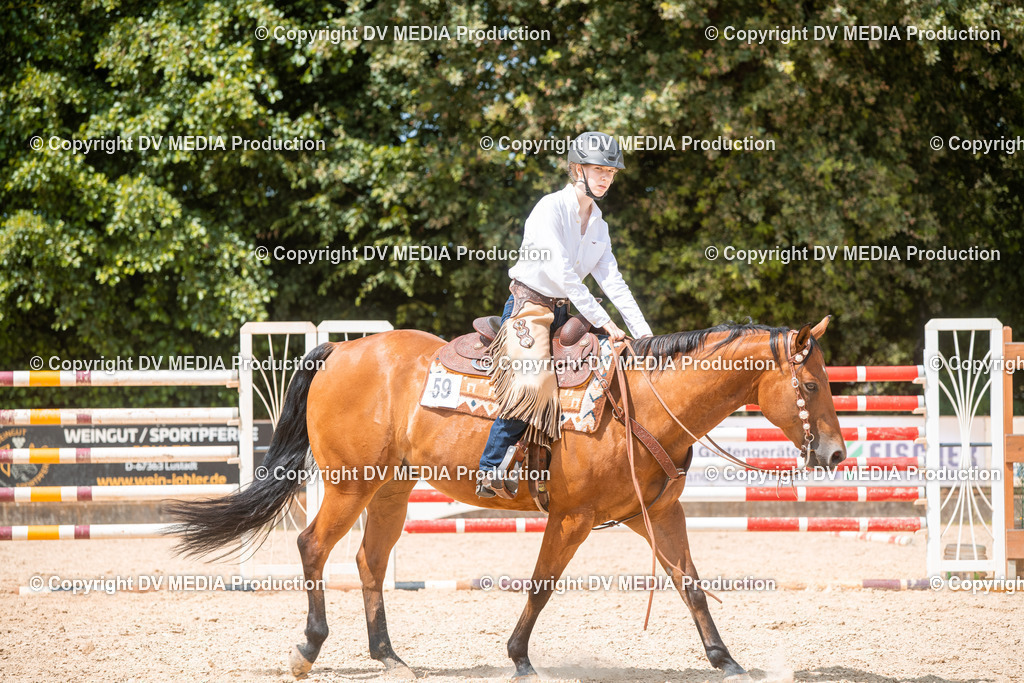 EWP_6606 | dv-media-shop - Realisiert mit Pictrs.com