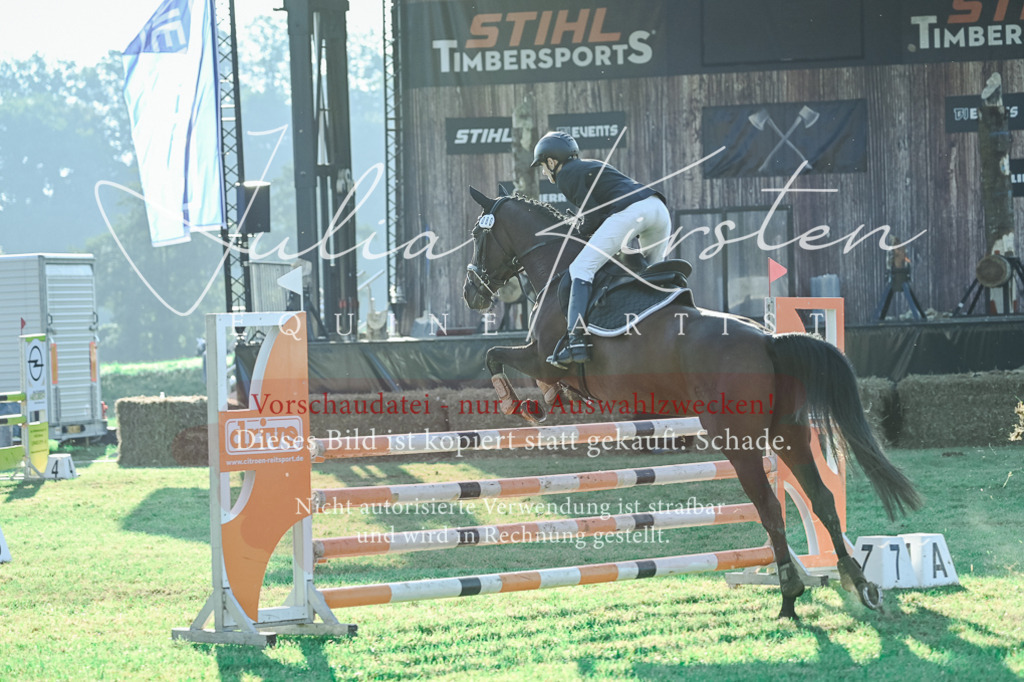 DSC_4416 | Pferde- und Turnierfotografie in Westsachsen. Pferdeportraits, Auftragszeichnungen und intuitive Kunst.
