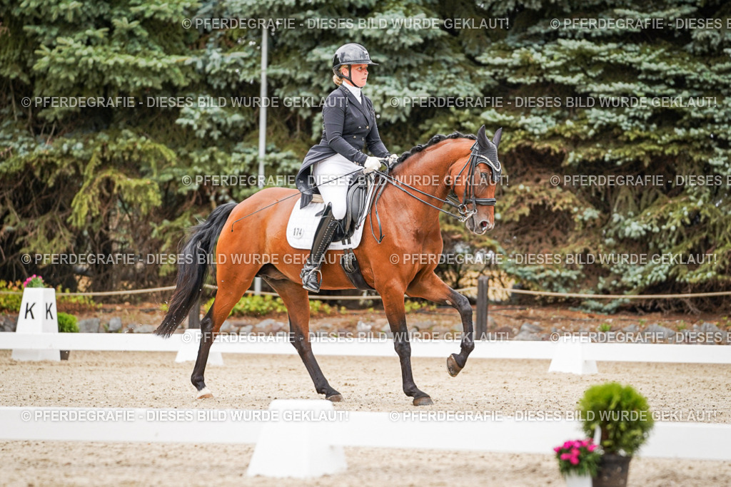 DSC07314 | Pferdegrafie