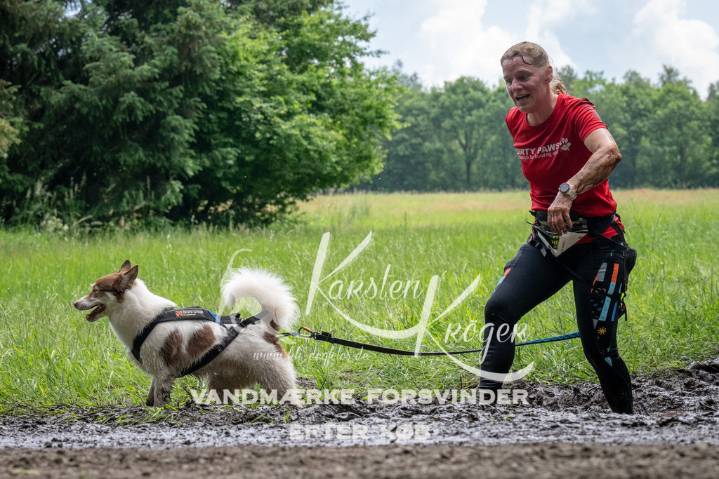 1119_ZZ92462 | kk-dogfotos