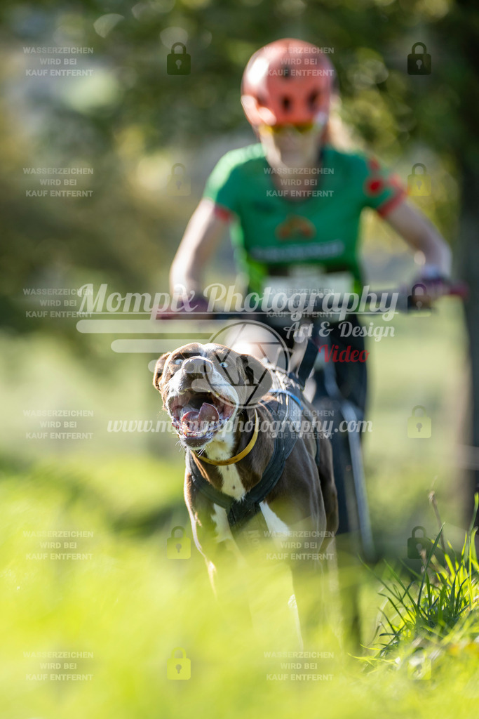 MompixPhotography_20TSB_E3_DS1-31 | PayLife