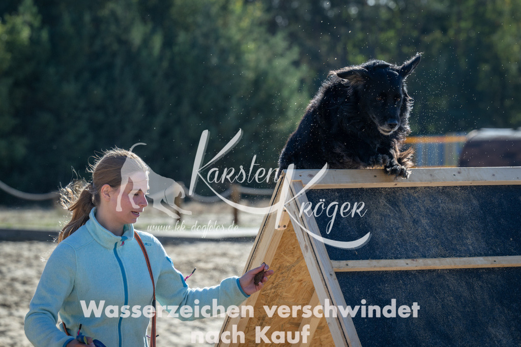 1130_ZZ91327 | kk-dogfotos