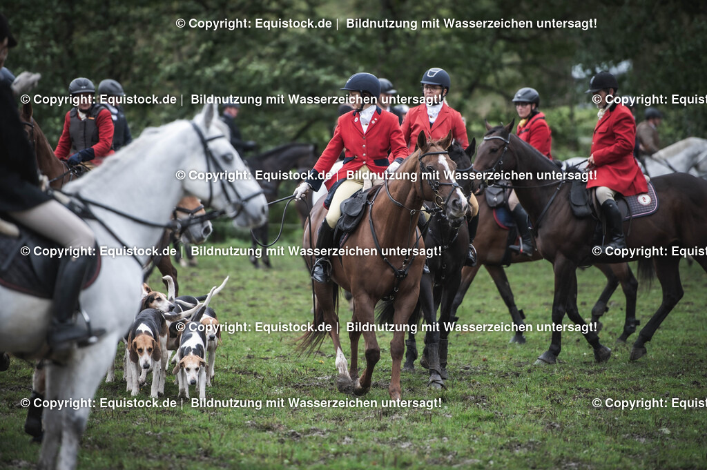 20241013_Jagd-Marbach_0139 | Foto: Thomas Hartig