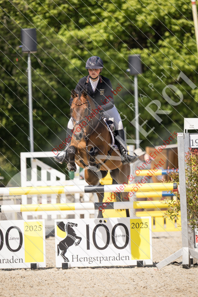 IMG_5152 | Sport-, Event- und Tierfotos in Profiqualität. Einfach auswählen, bestellen und herunterladen. Dein Moment – perfekt festgehalten.