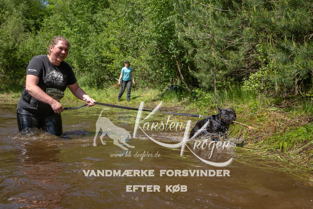 DK K991772141425 | kk-dogfotos