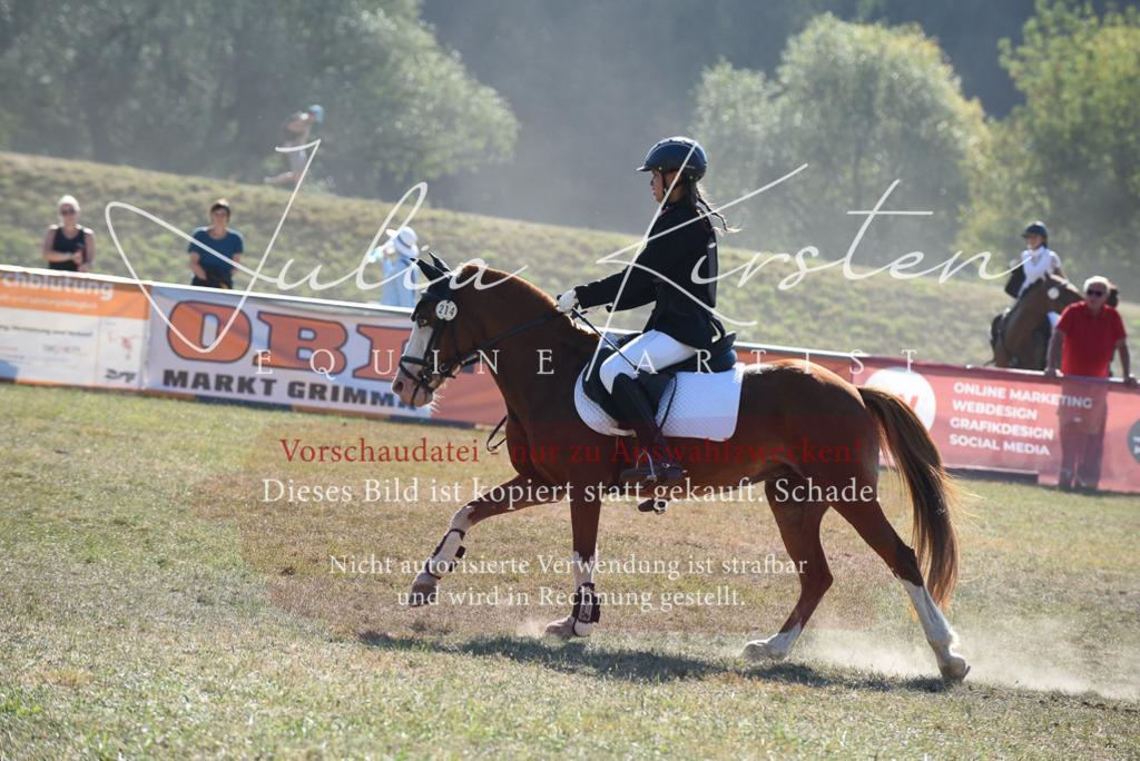 DSC_6084 | Pferde- und Turnierfotografie in Westsachsen. Pferdeportraits, Auftragszeichnungen und intuitive Kunst.