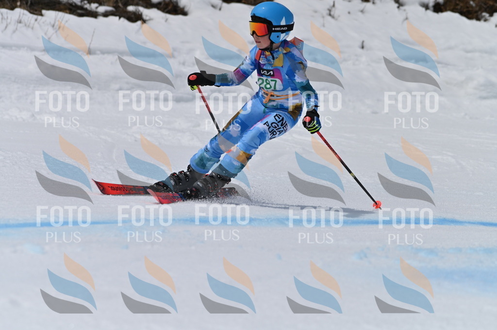 BGV_5736 | holidayphoto