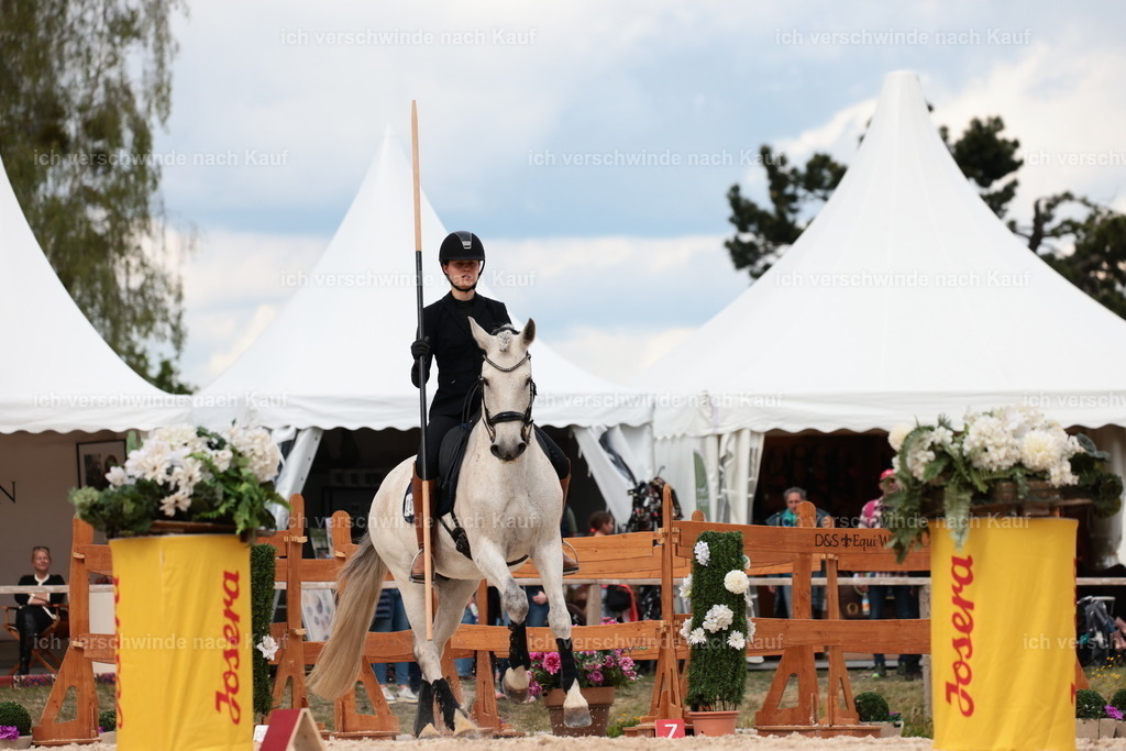PI26_ST_StoibphotographyC2_L8767.JPG | working equitationturnier fotograf videograf stoibphotography marixx film working equitation deutschland reitsport turnierfotografie eventfotografie equestrian events