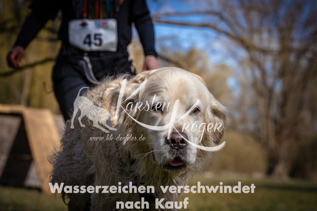 1022_ZZ97466 | kk-dogfotos