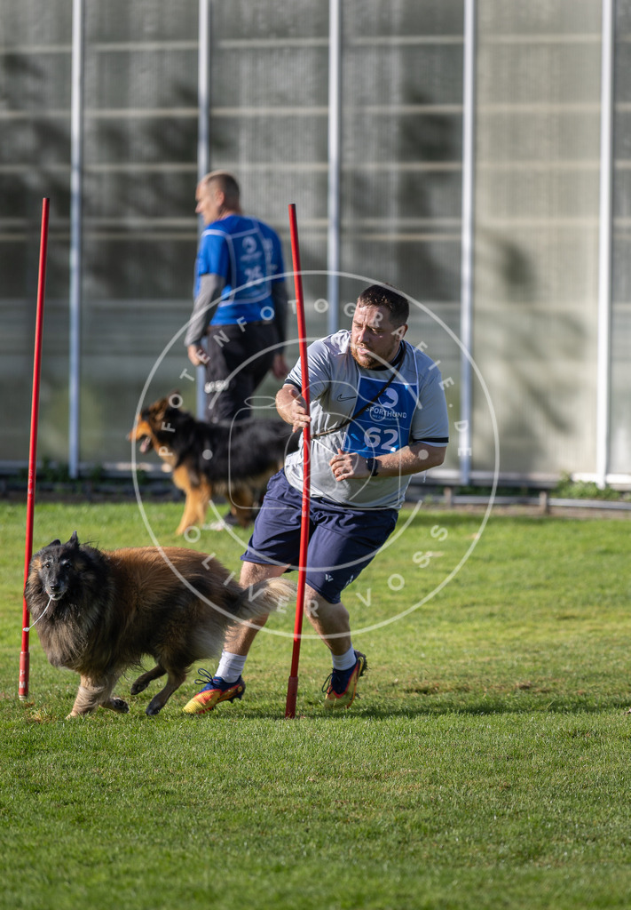 Pfotenfotografie.de_DV3A3392 | Hundefotografie, Tierfotograf, Pfotenfotografie, Fotoshooting Hund, Hunde Portrait, Hundesport, Hundeportraits, Heideshooting, Hunde, Sportfotograf, Hundefotograf, Turnierhundsport, THS, canicross - Realisiert mit Pictrs.com