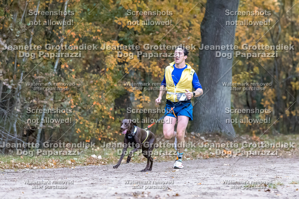 Dog Paparazzi - SD CaniX Championship 2025-102 | Dog Paparazzi Jeanette Grottendiek Fotografie & Videografie - Realisiert mit Pictrs.com