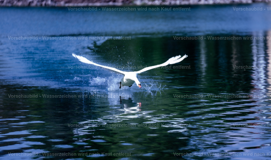 DSC01113-Enhanced-NR | marcuslinek