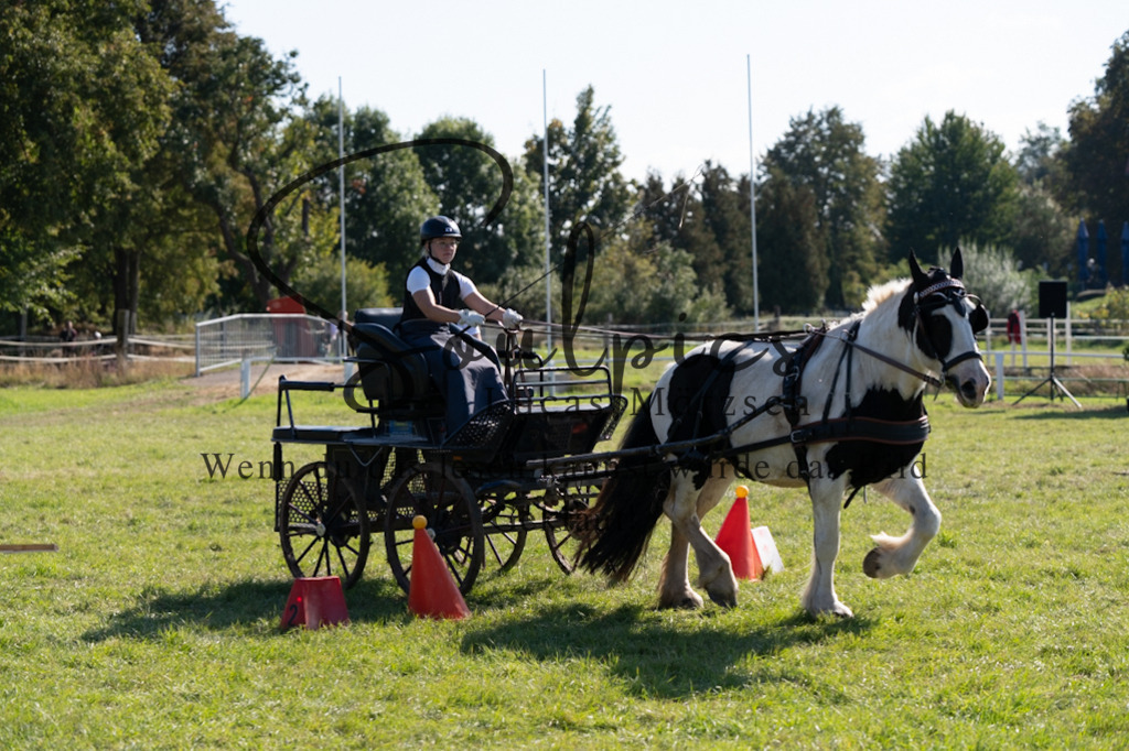 A7V04372 | Pferdefotograf