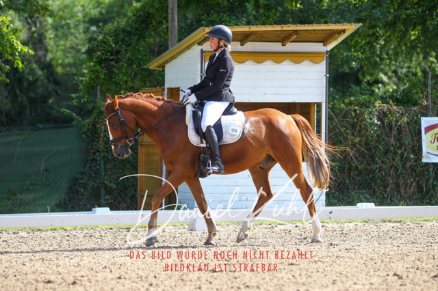 DKP42937 | Turniersportfotografie; Pferdefotografie; Dressurfotografie