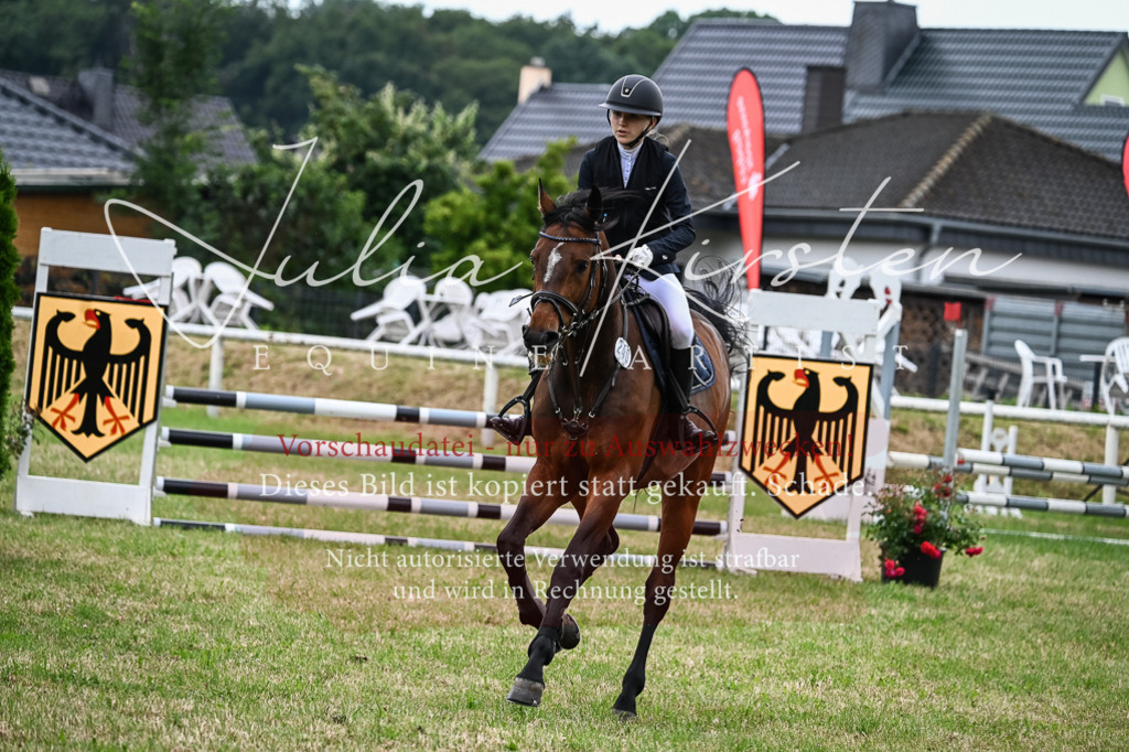 DSC_8478 | Pferde- und Turnierfotografie in Westsachsen. Pferdeportraits, Auftragszeichnungen und intuitive Kunst.