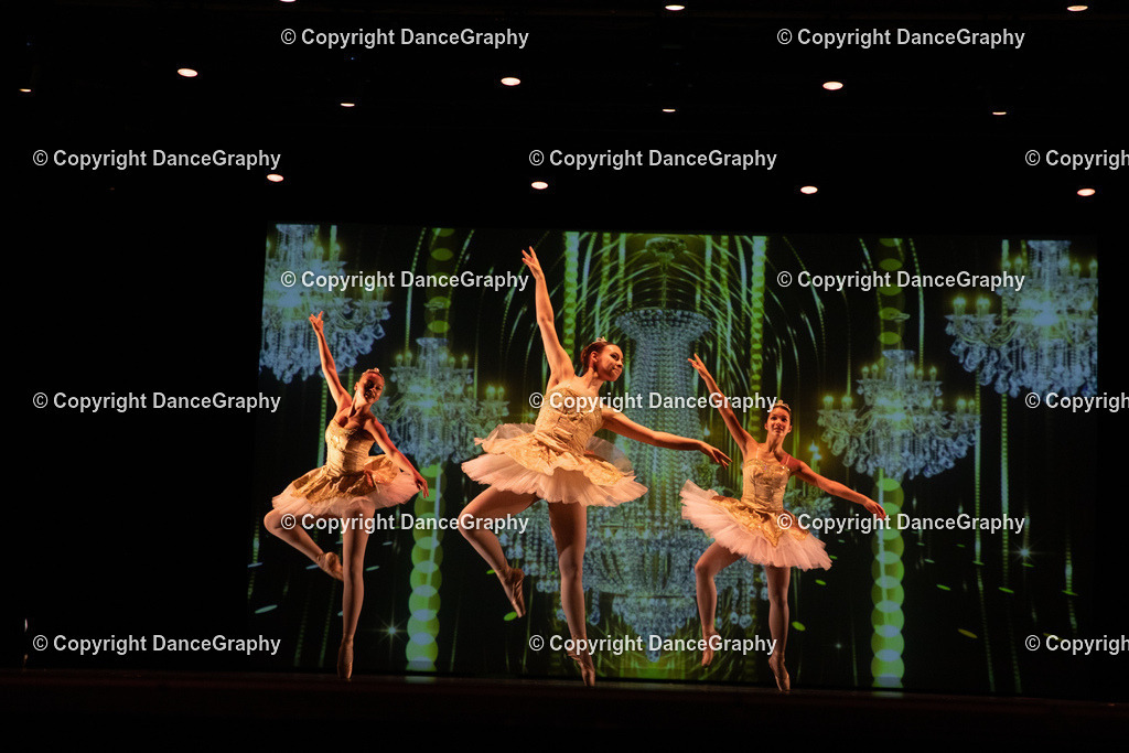 GPHY6554 | DanceGraphy - Realisiert mit Pictrs.com