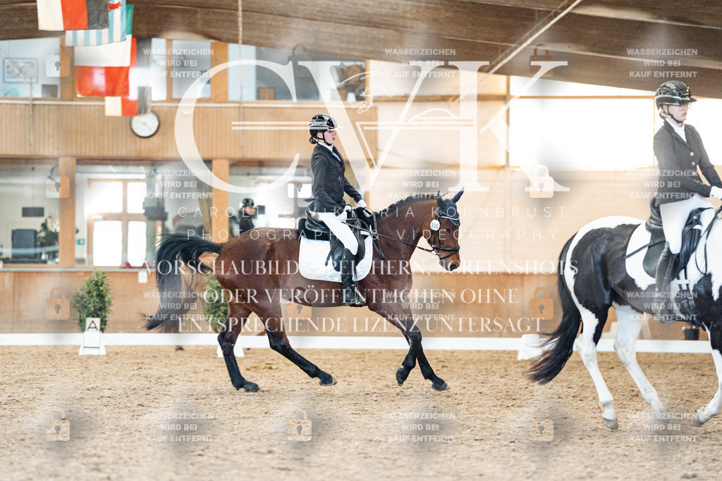 CK907671 | Turnierfotografie Pferdefotografie Trier Rheinland-Pfalz Pferdesport Reitsport Tierfotografie Sportfotografie Pferdevideo Pferdevideografie Equestrianvideography equestrianphotography  - Realisiert mit Pictrs.com