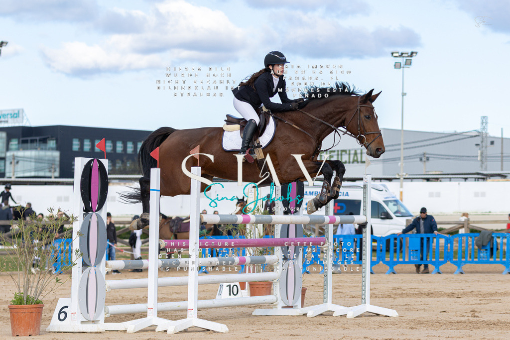 IMG_1869 | s-jay-photography - Realisiert mit Pictrs.com