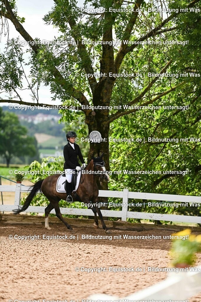 20230716_10-1_Reiter-WB Schritt - Trab - Galopp_0191 | equistock