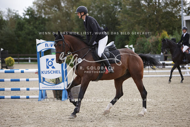 1J2A2166Britta Braunert_ Convolto PS_ Kn289_ Havekost | Foto- und Videografie für alles rund ums Pferd. Hochwertige Bilder und Videos vom Spring- und Dressurreiten, Voltigieren & mehr. Jetzt aktuelle Veranstaltungen und Preise im Shop ansehen. - Realisiert mit Pictrs.com