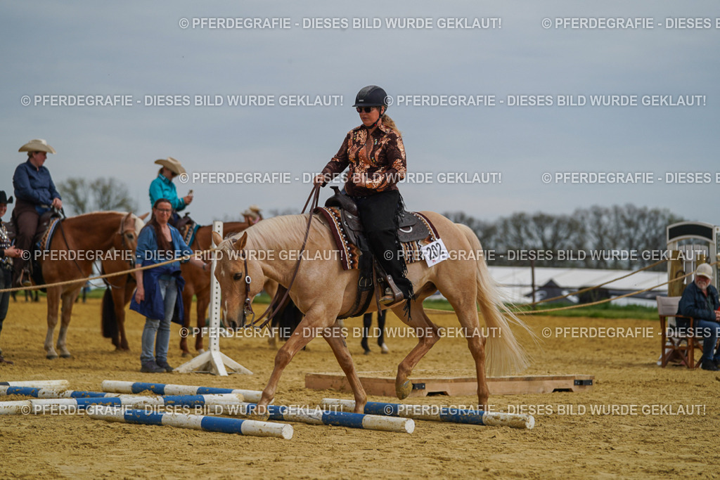 DSC02248 | Pferdegrafie