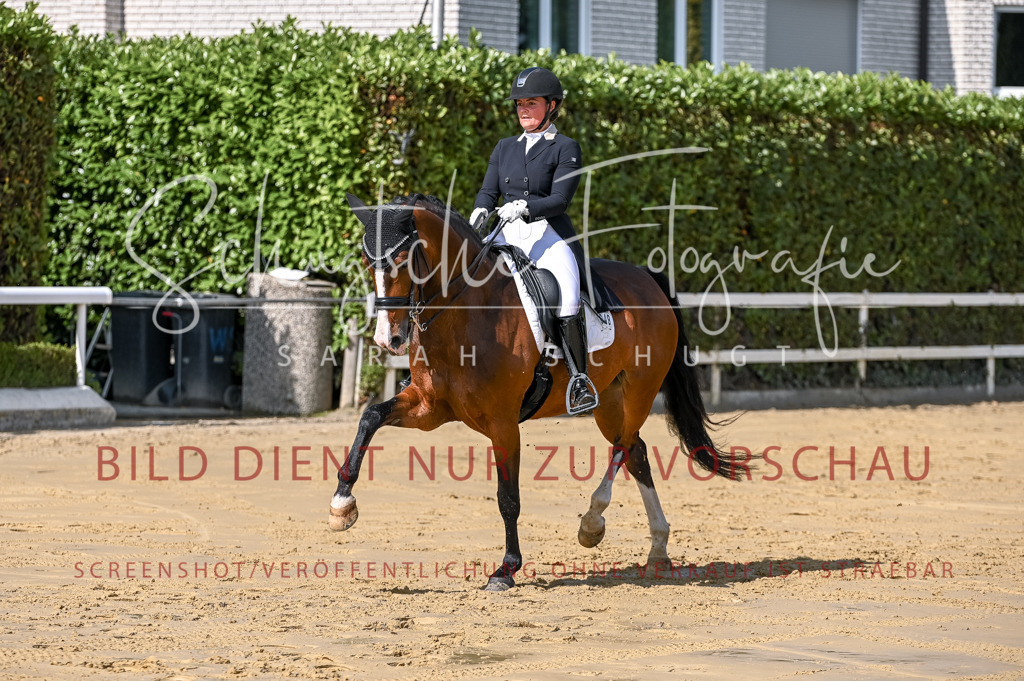 Schugtsche-Aluta25-58. Dressurprf.S1Kand.St.GeorgSpecial-276 | Schugtsche Fotografie - Realisiert mit Pictrs.com