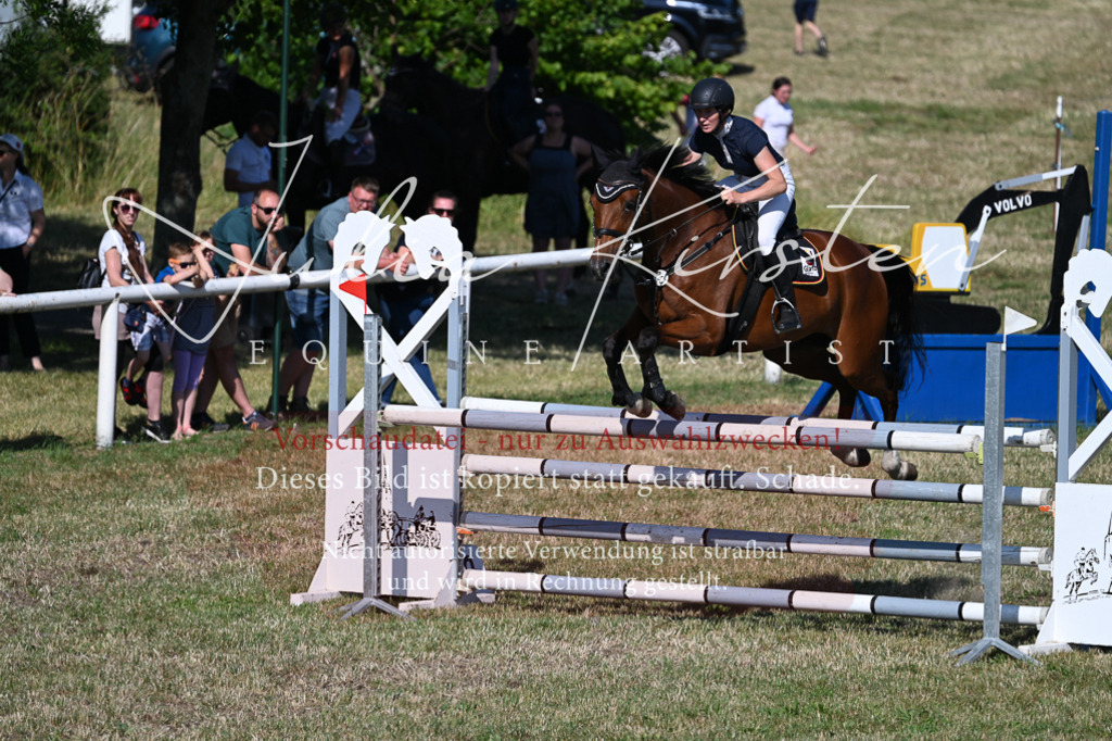 DSC_2217 | Pferde- und Turnierfotografie in Westsachsen. Pferdeportraits, Auftragszeichnungen und intuitive Kunst.