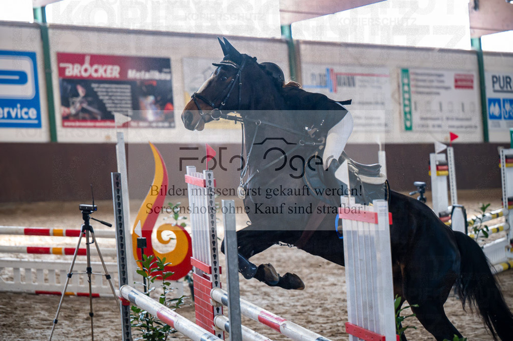 Hallenreittunier Voxtrup 2023 | Entdecke hochwertige Reitturnierfotos von Foto Oger. Professionell, emotional und authentisch – jetzt Lieblingsmomente im Shop bestellen.Deutschlandweite Turnierfotografie. - Realisiert mit Pictrs.com