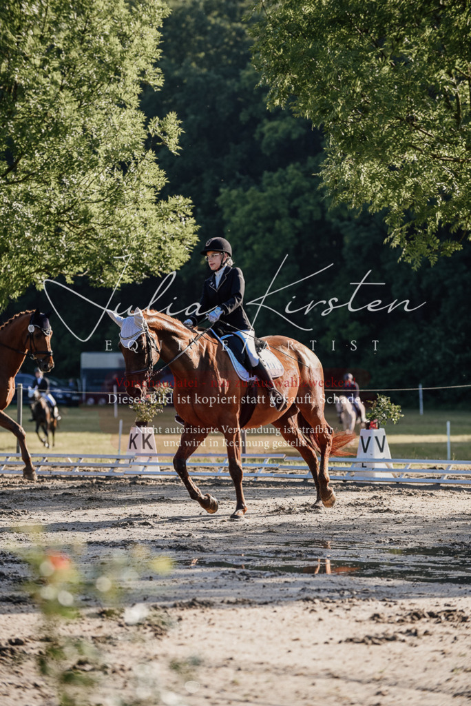 DSC_7707 | Pferde- und Turnierfotografie in Westsachsen. Pferdeportraits, Auftragszeichnungen und intuitive Kunst.