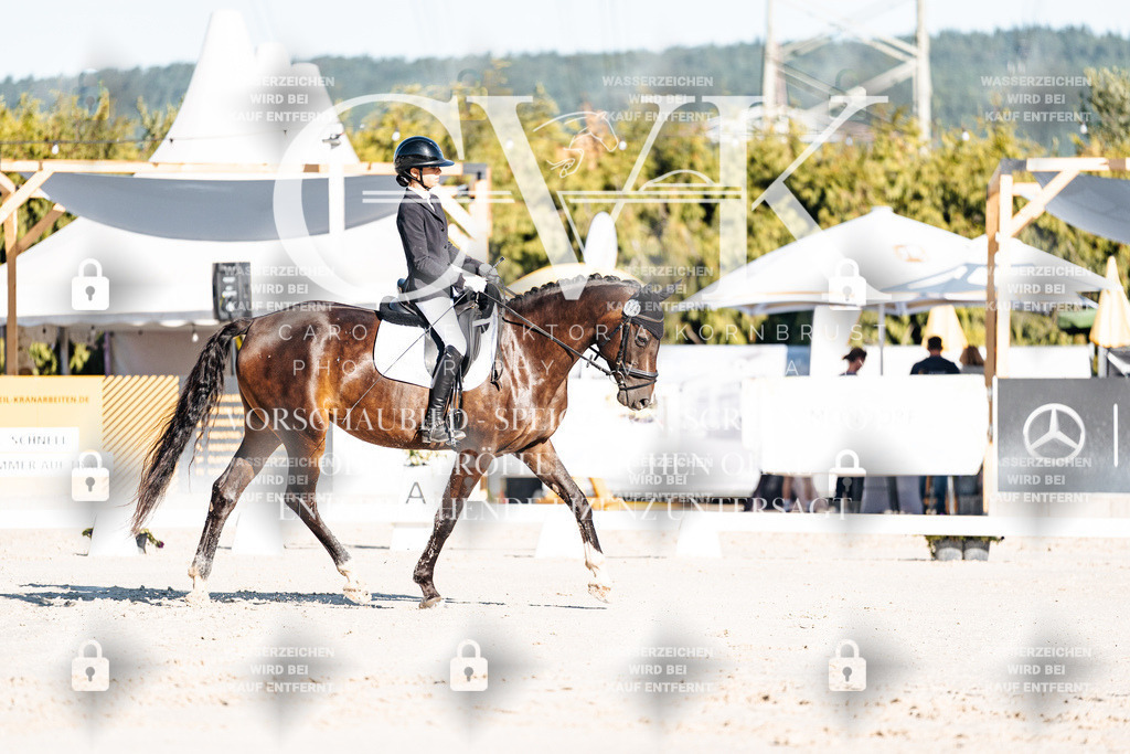 CK907144 | Turnierfotografie Pferdefotografie Trier Rheinland-Pfalz Pferdesport Reitsport Tierfotografie Sportfotografie Pferdevideo Pferdevideografie Equestrianvideography equestrianphotography  - Realisiert mit Pictrs.com