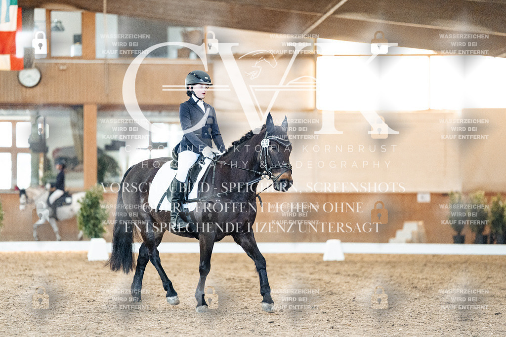 CK906688 | Turnierfotografie Pferdefotografie Trier Rheinland-Pfalz Pferdesport Reitsport Tierfotografie Sportfotografie Pferdevideo Pferdevideografie Equestrianvideography equestrianphotography  - Realized with Pictrs.com