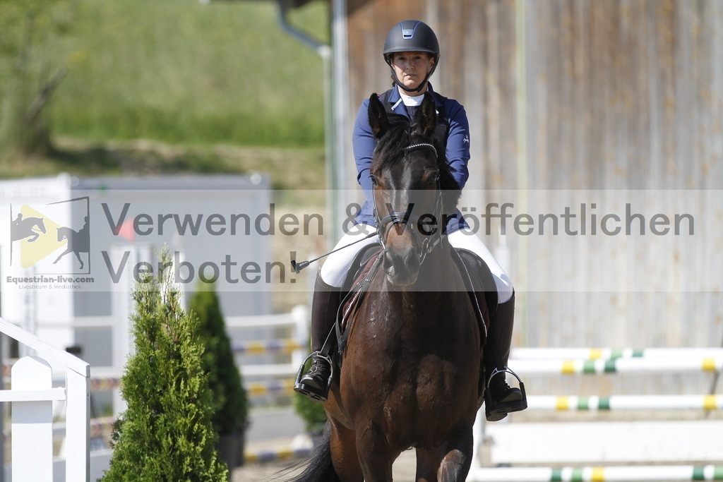 _MG_1799 | equestrian-live-com