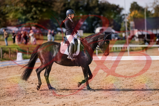 2026_10_03_Siefer-Hof_121425_Z81_16423783 | Professionelle Reitsport-, Turnier- und Eventfotografie von Robert Broda. Galerien mit ausgewählten und bearbeiteten Bildern direkt online ansehen und bestellen.