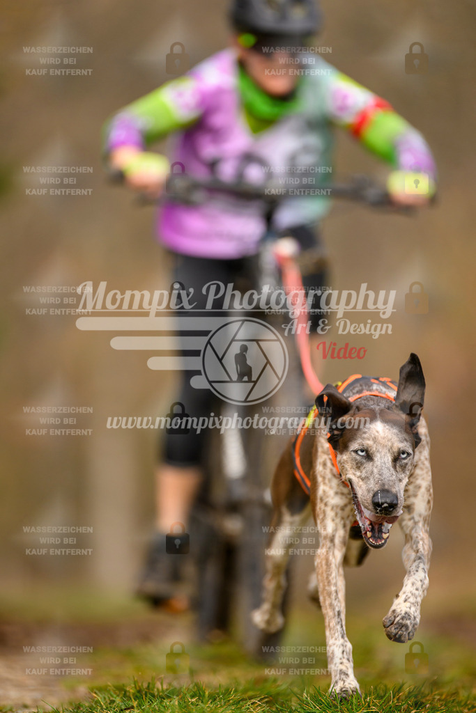 MompixPhotography_Schwabentrail2024_Bike-65 | PayLife