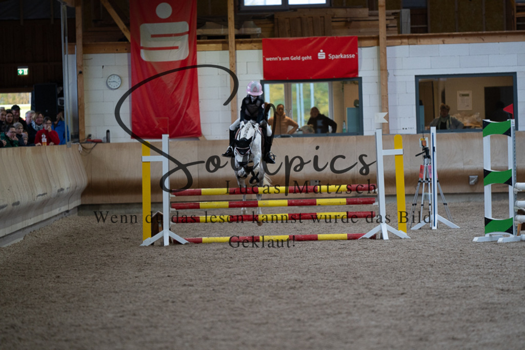 A7V03110 | Pferdefotograf