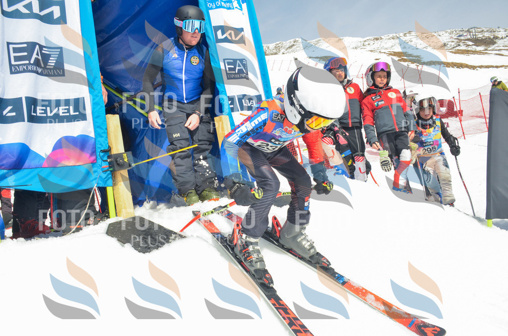 _ELE7305 | holidayphoto