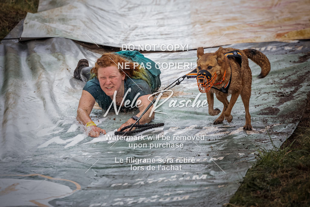 089 | nelerasche