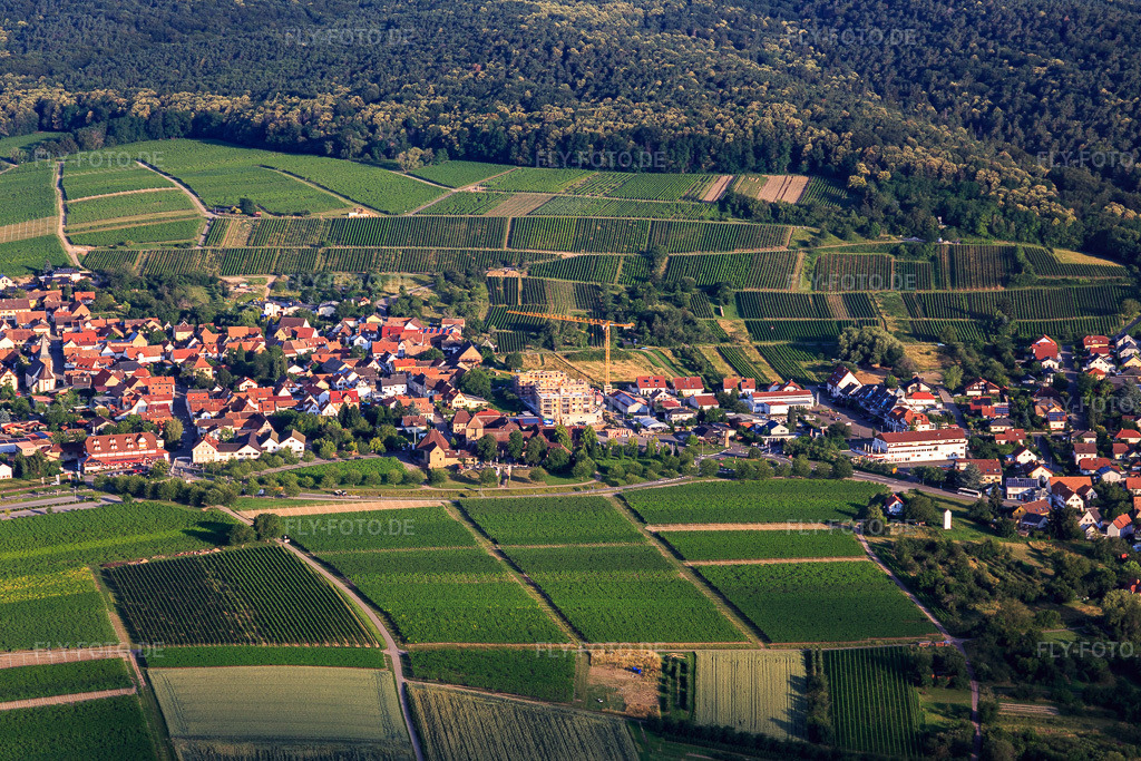 Luftbild: Baustelle an der Silvanerstr im Ortsteil Schweigen in Schweigen-Rechtenbach im Bundesland Rheinland-Pfalz in Deutschland. Foto: IMG_120923.jpg vom 26.06.2020 durch Werner Riehm/FLY-FOTO.de