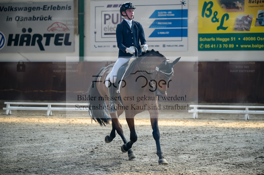 Reitturnier Voxtrup | Entdecke hochwertige Reitturnierfotos von Foto Oger. Professionell, emotional und authentisch – jetzt Lieblingsmomente im Shop bestellen. - Realisiert mit Pictrs.com