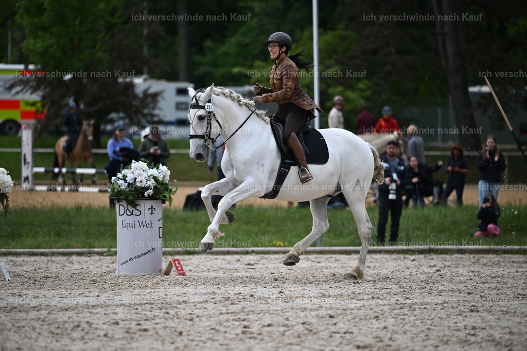 PI26_SP_Sara_Landvogt_226_5154.JPG | working equitationturnier fotograf videograf stoibphotography marixx film working equitation deutschland reitsport turnierfotografie eventfotografie equestrian events