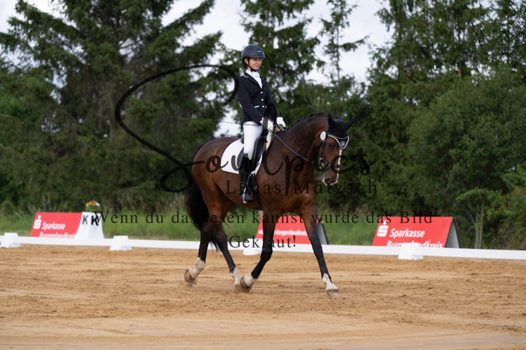 A7V05175 | Pferdefotograf