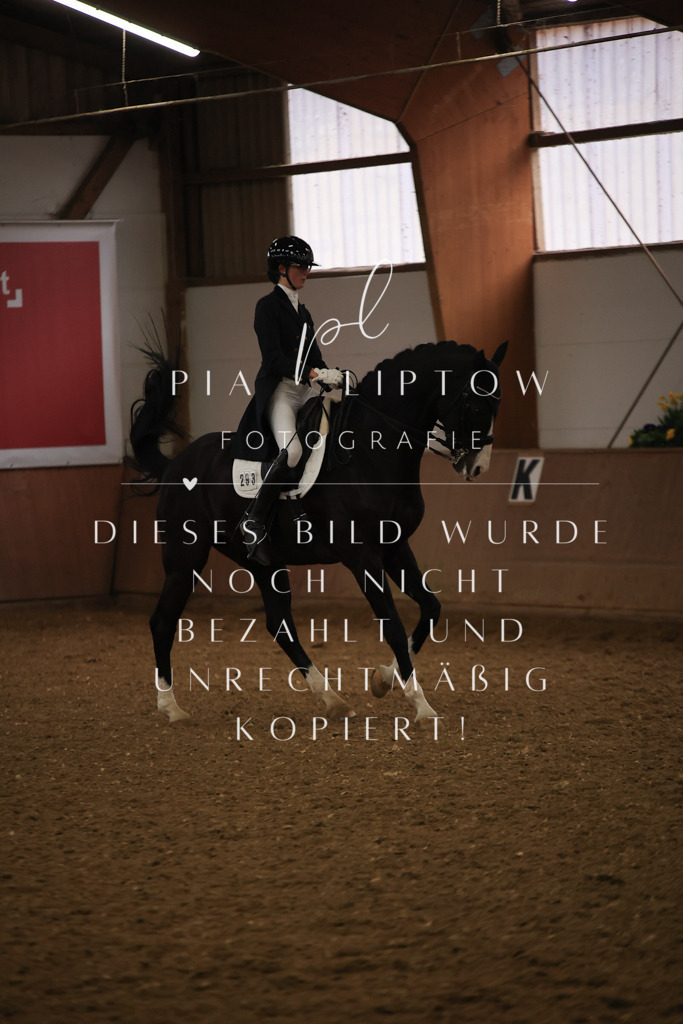 IMGT5953 | pl-fotografie