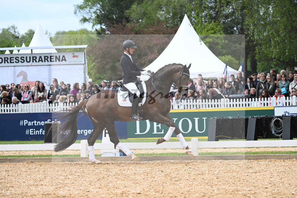 DSP Feliciano_11230752 | hf-fotografie - Realisiert mit Pictrs.com