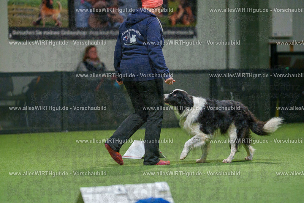 7R504574 | Professionelle Tierfotografie in Mönchengladbach von Daniel Wirth (allesWIRTHgut). Liebevolle & natürliche Bilder von Hunden & Katzen für unvergessliche Erinnerungen.