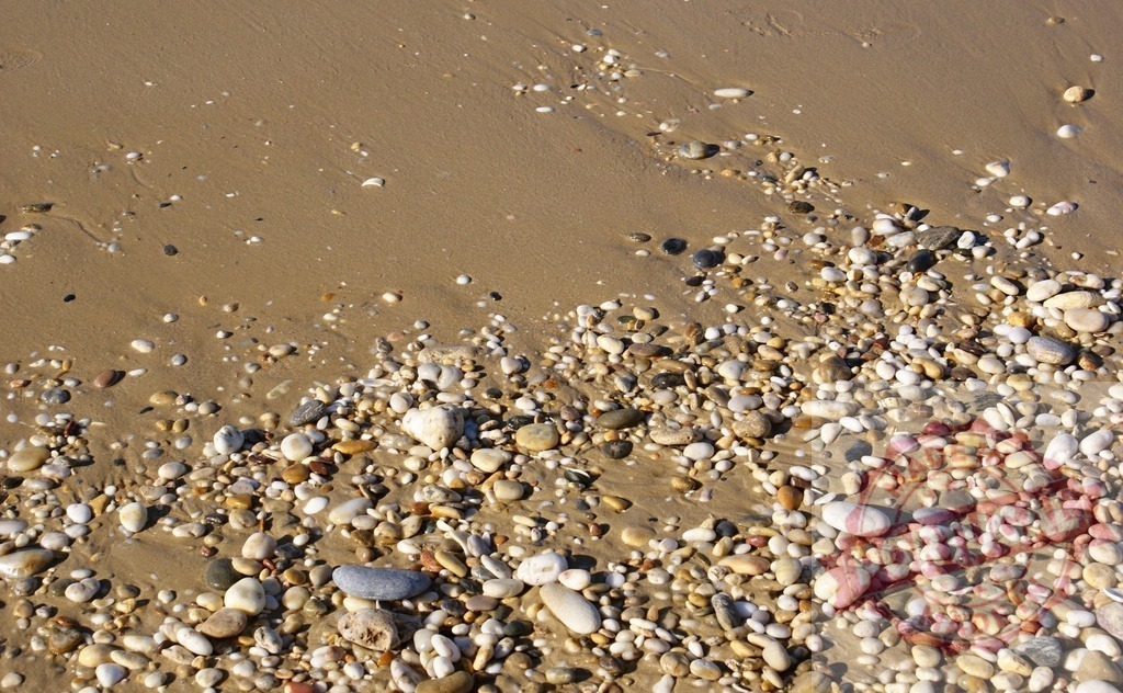 Wet sand and pebbles on a calm beach shore | Small round pebbles and wet sand forming a natural textured background beach shore - Realized with Pictrs.com