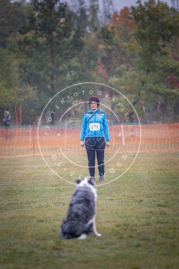 Pfotenfotografie_DV3A9173 | Hundefotografie, Tierfotograf, Pfotenfotografie, Fotoshooting Hund, Hunde Portrait, Hundesport, Hundeportraits, Heideshooting, Hunde, Sportfotograf, Hundefotograf, Turnierhundsport, THS,  - Realisiert mit Pictrs.com