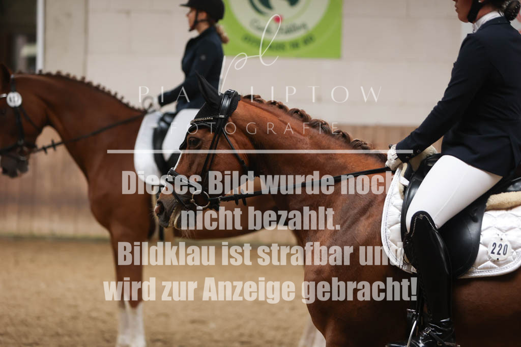 IMGS1657 | pl-fotografie